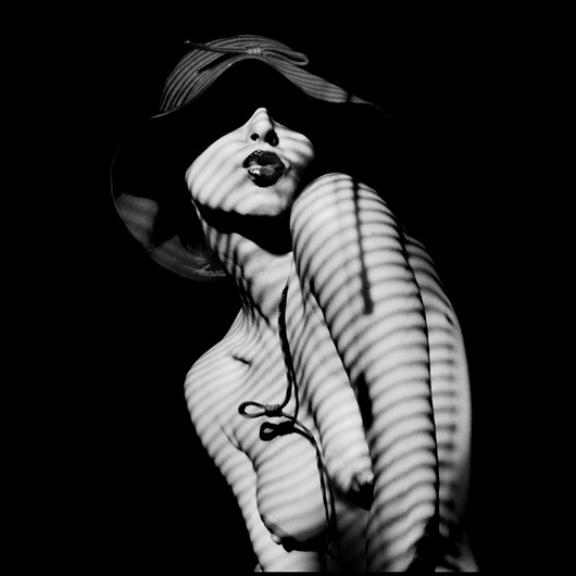 Zebra Classica płótno