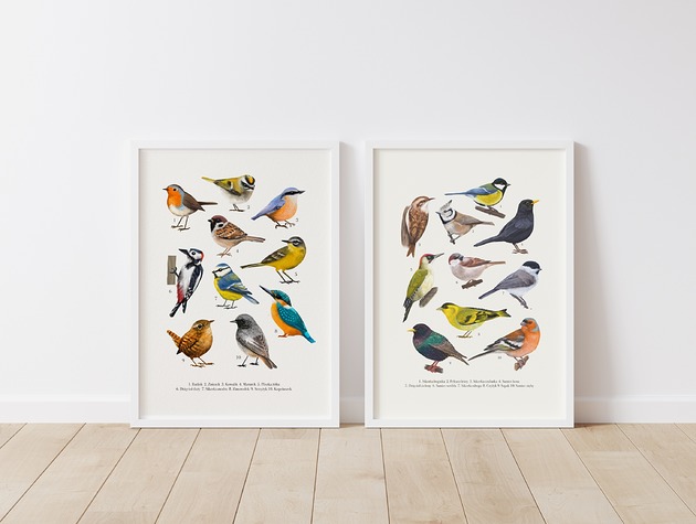 Plakat Zestaw Ptaki I i II 30x40 cm