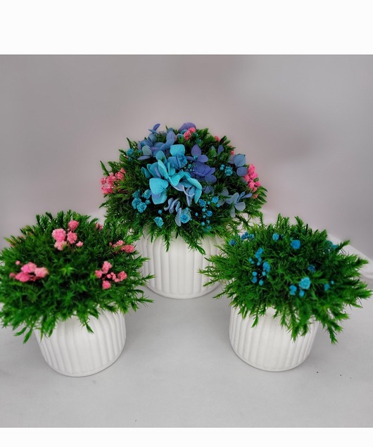 Zestaw dekoracyjny Naturalna Harmonia