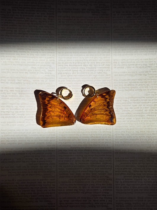 Kolczyki bursztynowe motyle Charaxes bernardus