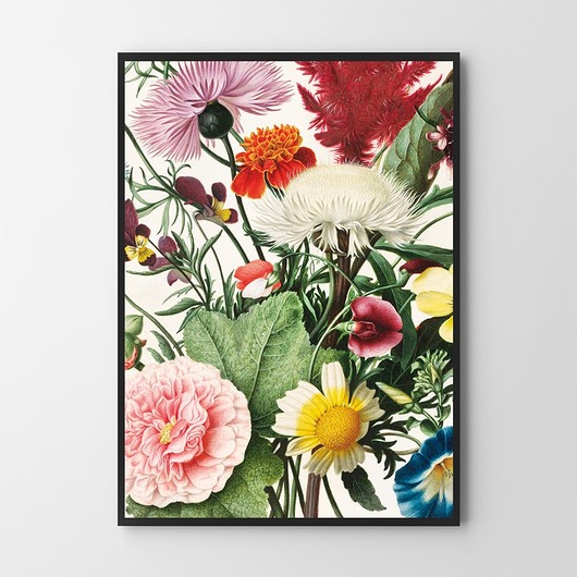 Plakat Kwiaty w kadrze