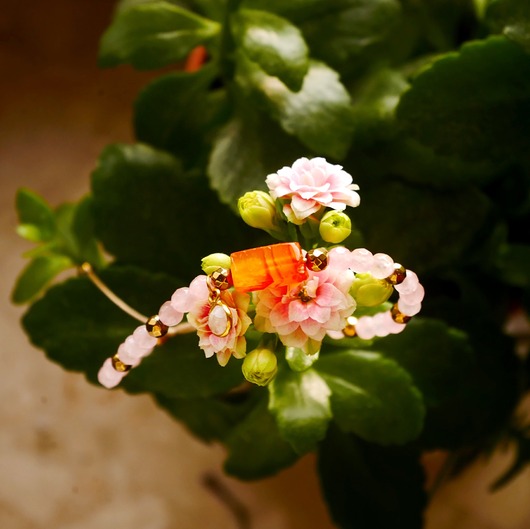 Bransoletka z karneolem Magnetyzm