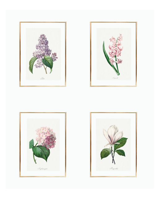 ZESTAW 4 PLAKATÓW vintage botaniczne kwiaty