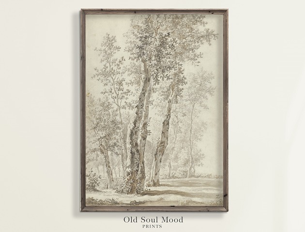 Plakat Szkic drzewa 3