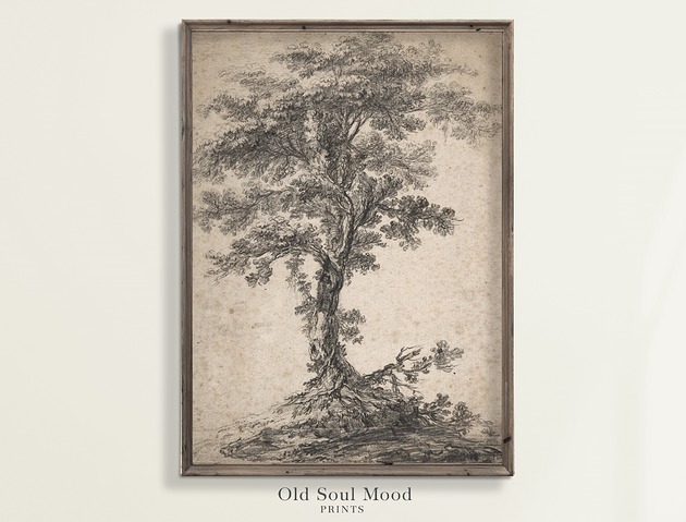 Plakat Szkic drzewa 4