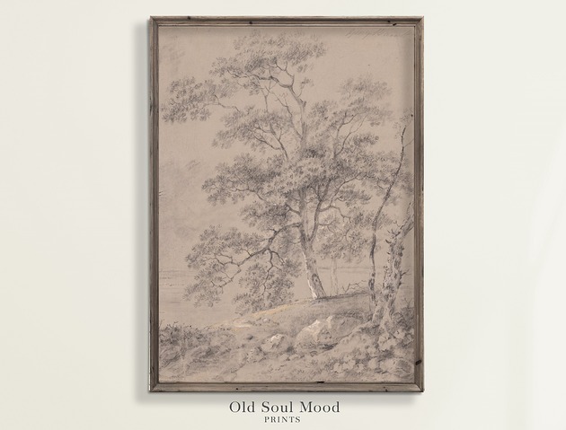 Plakat Szkic drzewa 5