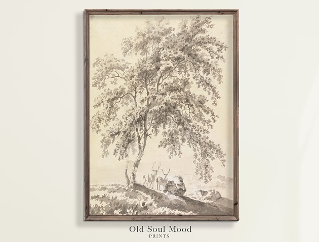 Plakat Szkic drzewa 6