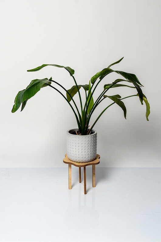 Kwietnik WAVY falowana podstawka na rośliny 30x25cm