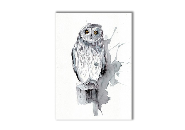 Grafika ręcznie malowana Sowa
