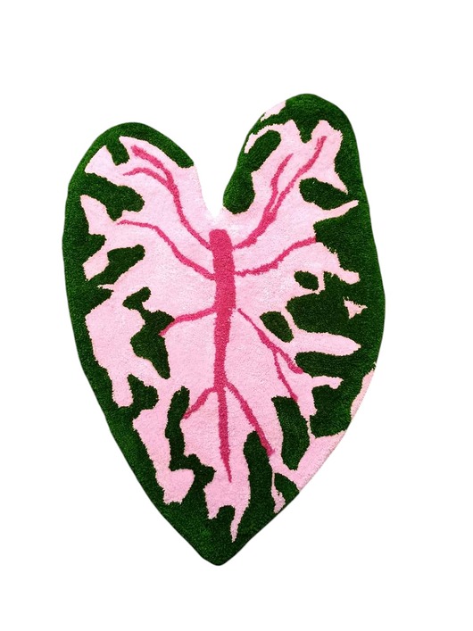 Dywan w kształcie liścia kaladium, Caladium Pink Splash
