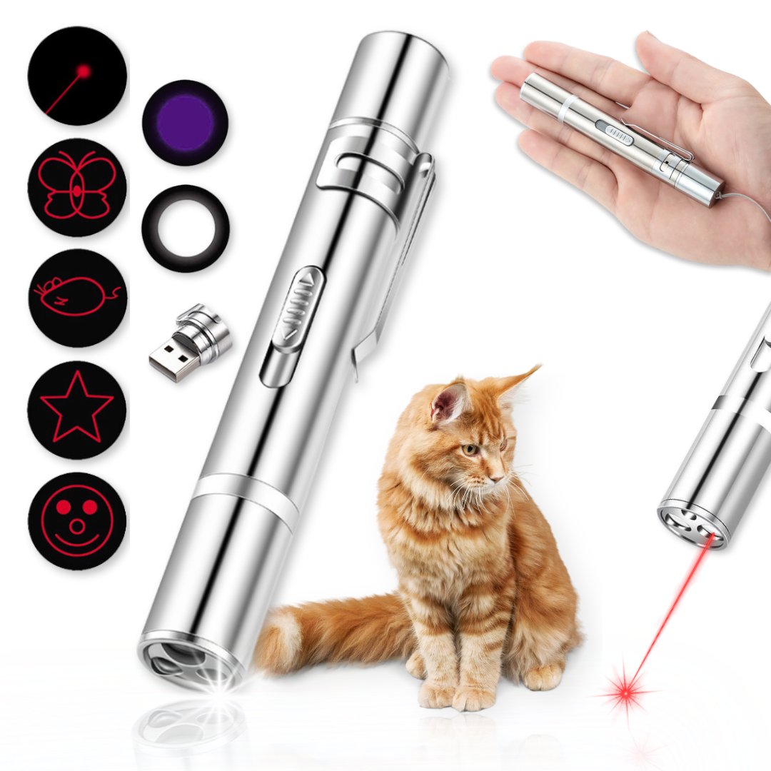 PROFESJONALNY LASER ZABAWKA DLA KOTA MOCNY WSKAŹNIK LASEROWY NA USB 3W1