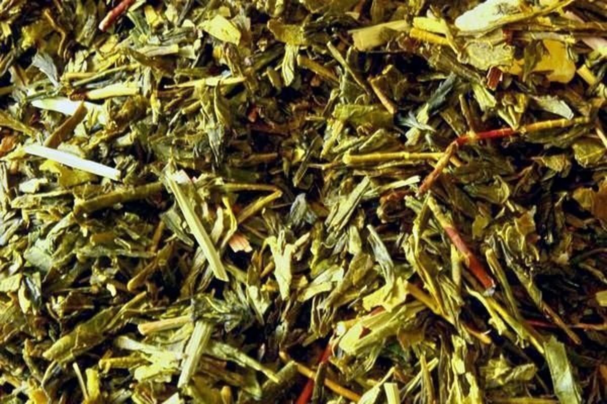 HERBATA SENCHA LETNI WIECZÓR - TeaCaa Herbaty 50g