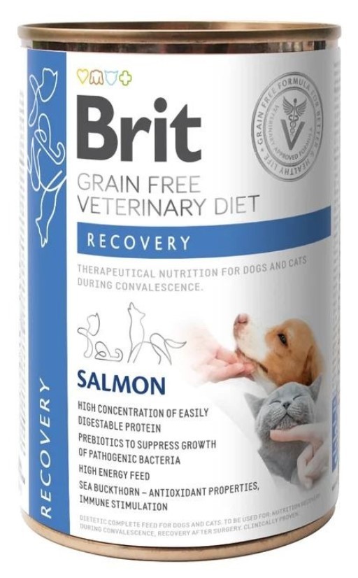 BRIT Grain Free Veterinary Diets Dog and Cat Can Recovery Salmon 400g (puszka)