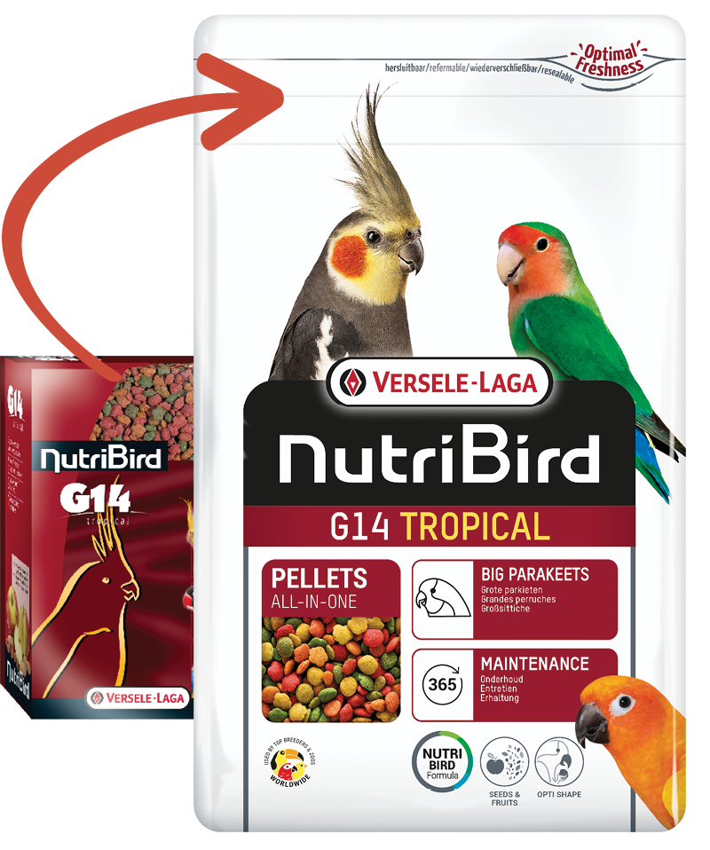 VERSELE-LAGA NutriBird G14 Tropical - pokarm dla średnich papug 1kg