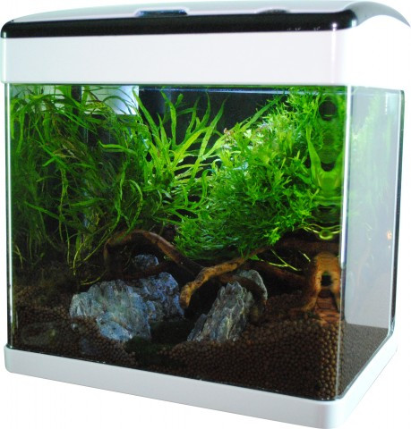 AQUA NOVA Akwarium 32 litry (38 x 26 x 40 cm) - czarne