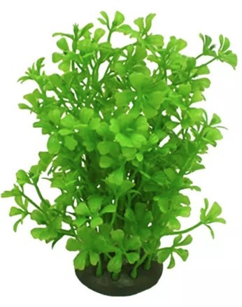 AQUAEL Roślina Kępkowa Cp-057 6 (15 cm)