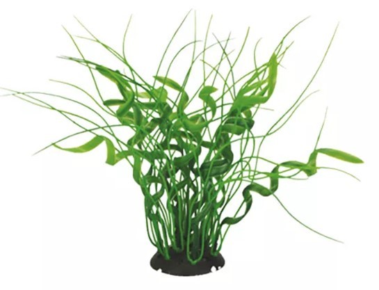 AQUAEL Roślina Kępkowa Cp-035 8 (20 cm)
