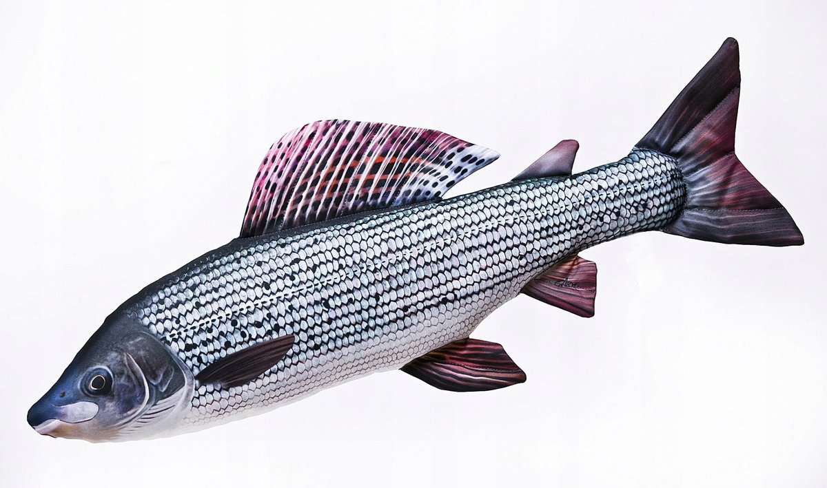 Ryba Maskotka Zabawka Pluszak Lipień 62cm