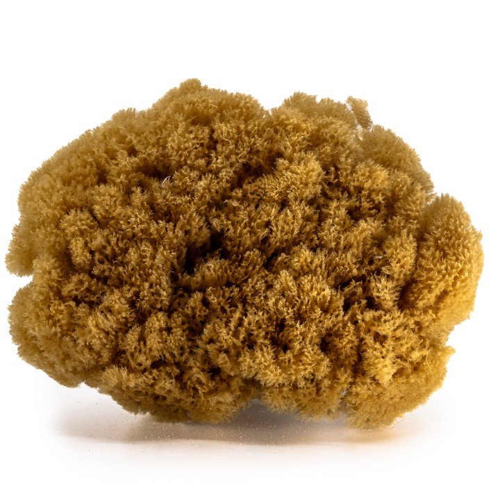 Gąbka do masażu i peelingu - naturalna morska - rozmiar XL 13-15 cm