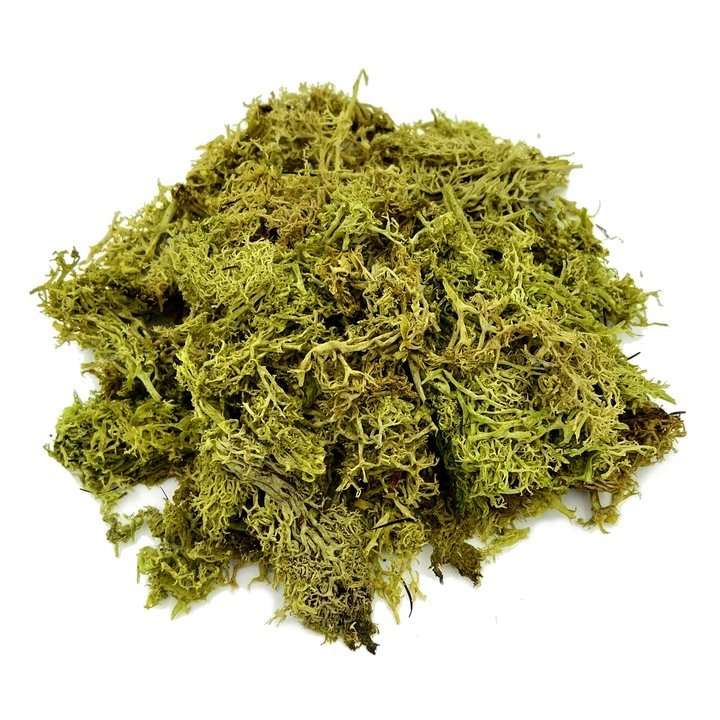 Sztuczny mech chrobotek do dekoracji do stroików zielony 50g