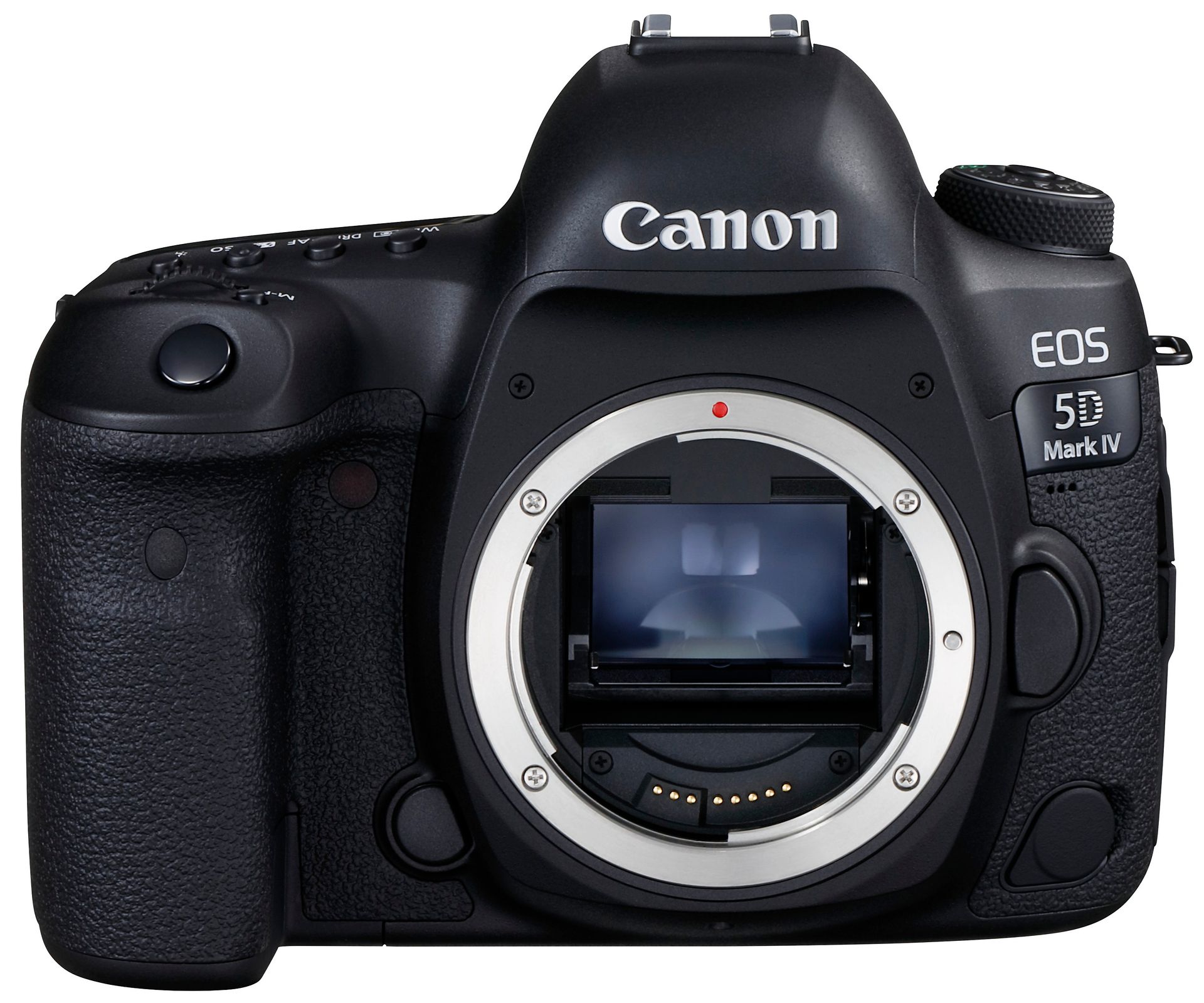 Canon EOS 5D Mark IV + EF 50 STM 1483C025