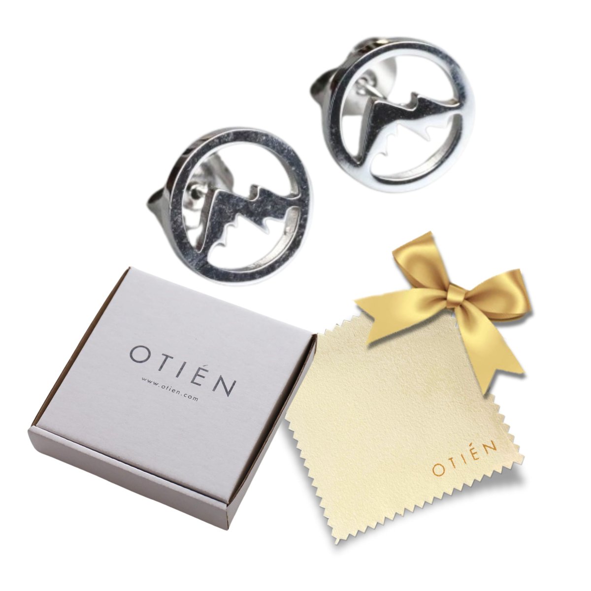 Kolczyki Srebrne Góry Okrągłe Wkrętki ze Stali Chirurgicznej