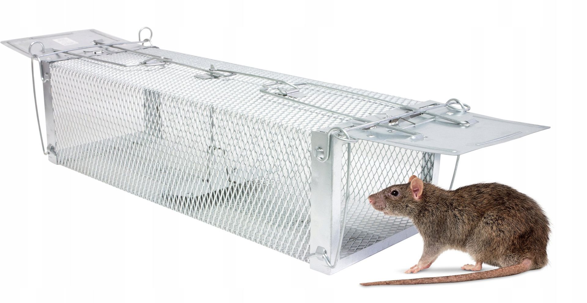 Q25A KLATKA PUŁAPKA NA KUNY, SZCZURY