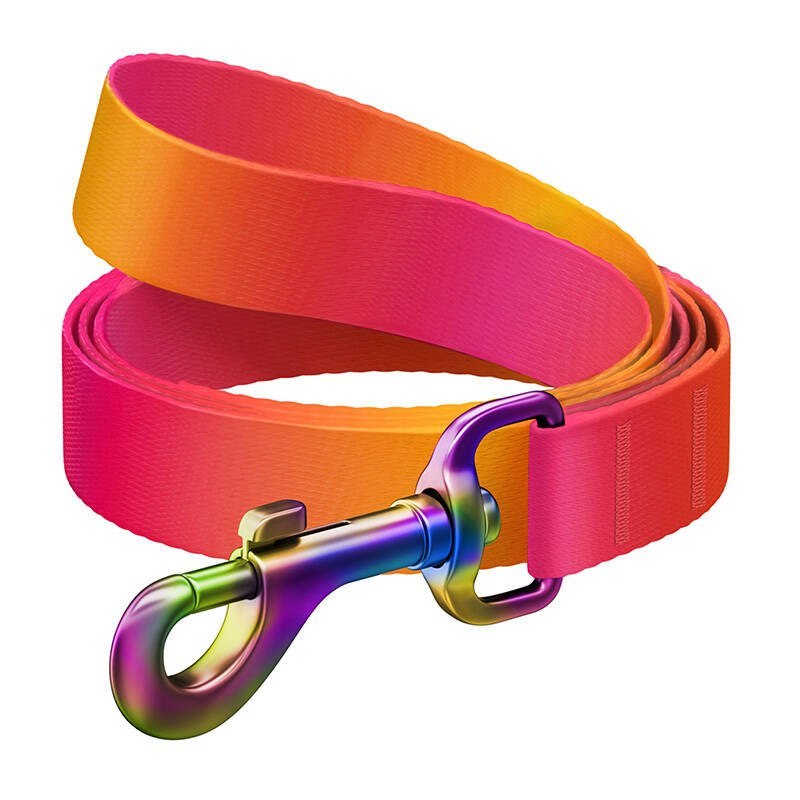 Smycz dla psa nylonowa WAUDOG gradient, dł. 122 cm, pomarańczowa Waudog