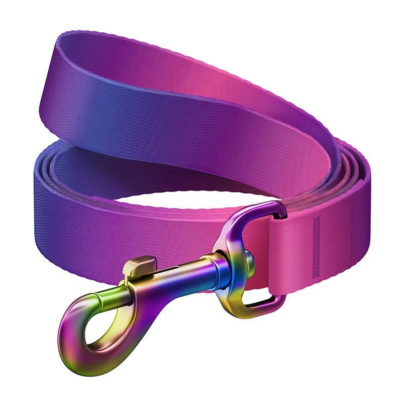 Smycz dla psa nylonowa WAUDOG gradient, dł. 122cm, fioletowa Waudog
