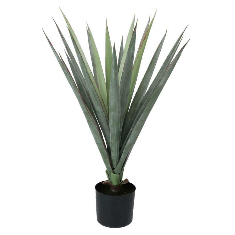 ProGarden roślina Agawa w doniczce 75 cm