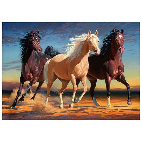 Titanum Mozaika diamentowa 5d - Konie 40x30cm