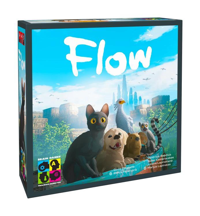 Gra Flow - Praca Zbiorowa - gra planszowa