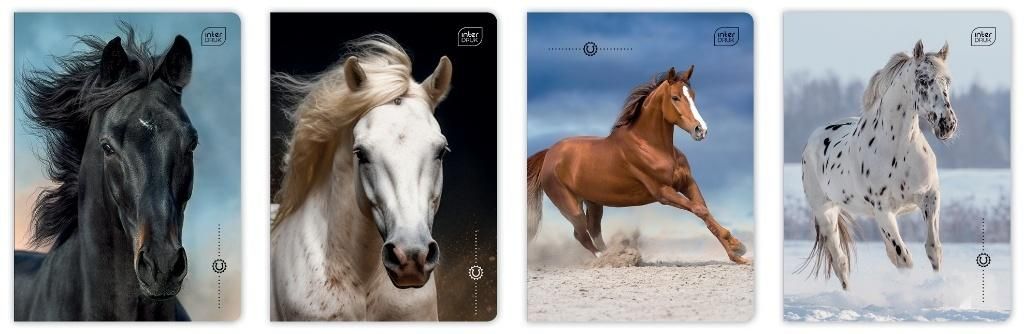 Interdruk Zeszyt A516k 3kol linia Uv Wild Horses (20szt)