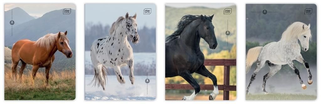 Interdruk Zeszyt A532k 3kol linia 70g Uv Wild Horses(10szt)