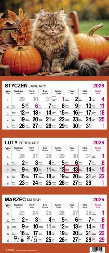 Kalendarz 2026 Trójdzielny Kot - kalendarz
