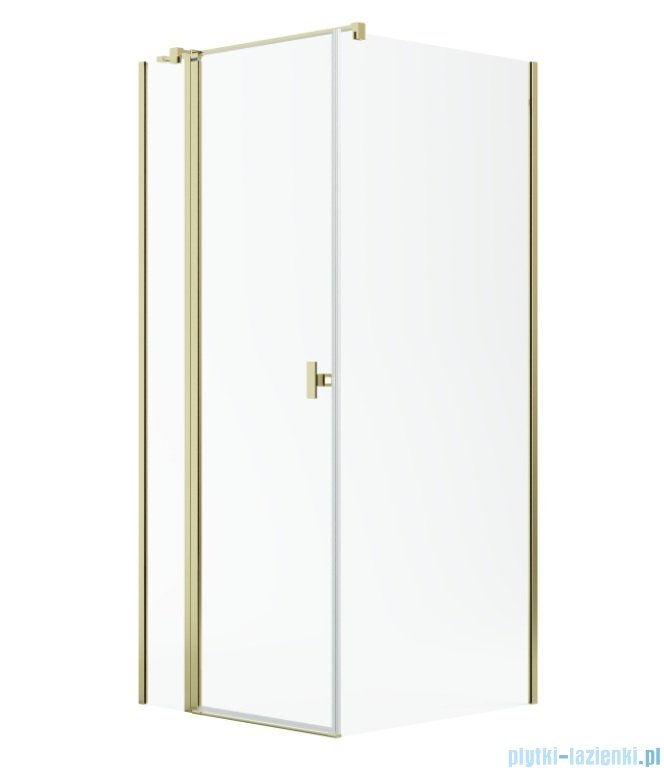 Radaway Nes Kdj II Gold kabina 100x70cm lewa złoty połysk 10032100-09-01L/10039070-01-01