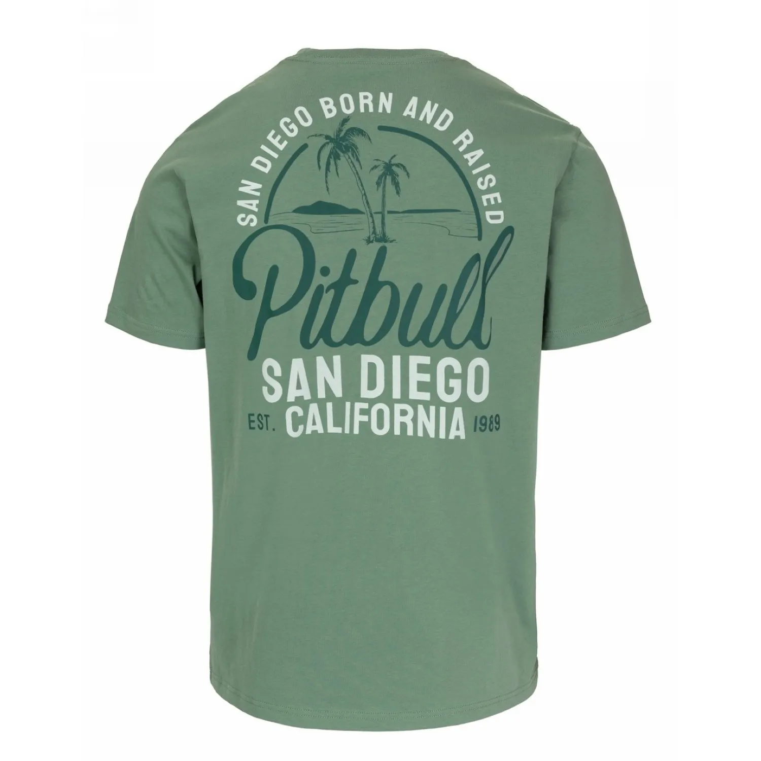 PITBULL KOSZULKA Light Weight 170 Basic San Diego Born '25 - Miętowa