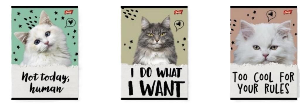 Unipap Zeszyt A532k linia podw. 2 kolor Caturday(15szt)