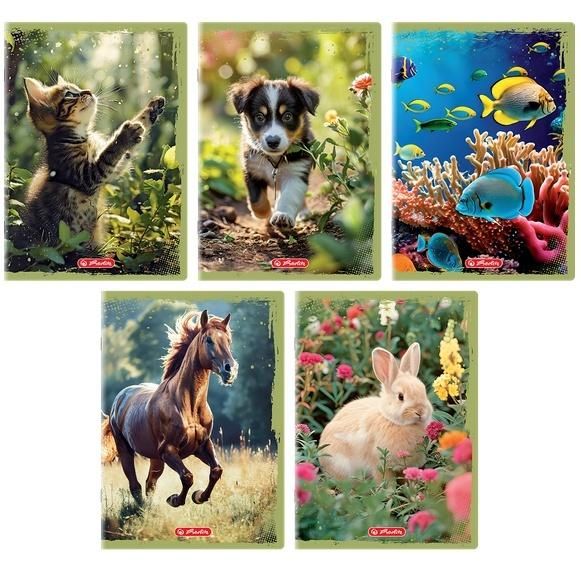 Herlitz Zeszyt A532k linia z marginesem Animals (10szt)