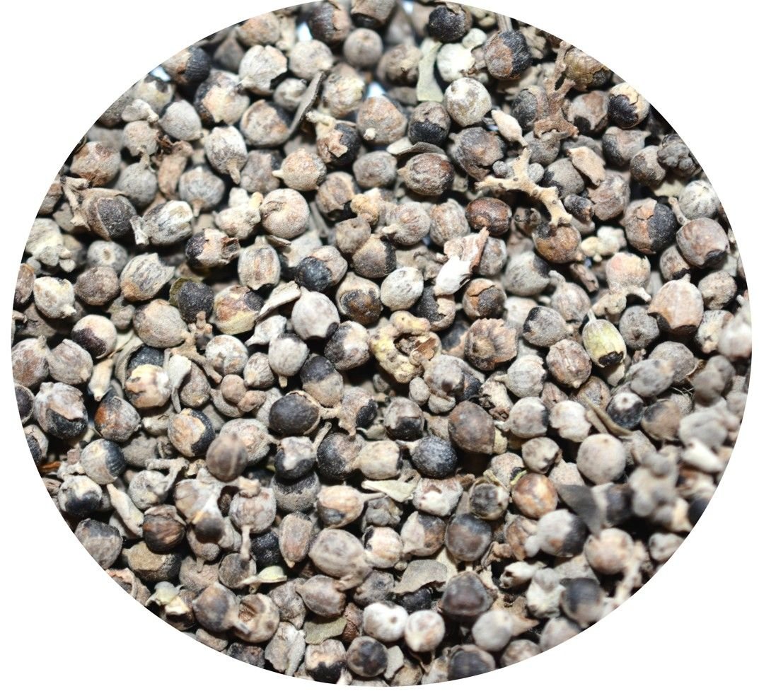 NIEPOKALANEK POSPOLITY OWOC cały 100g herbata susz