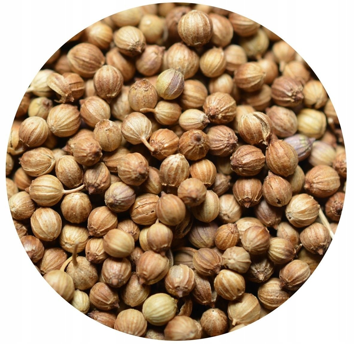 KOLENDRA ZIARNO 1000g naturalna przyprawa