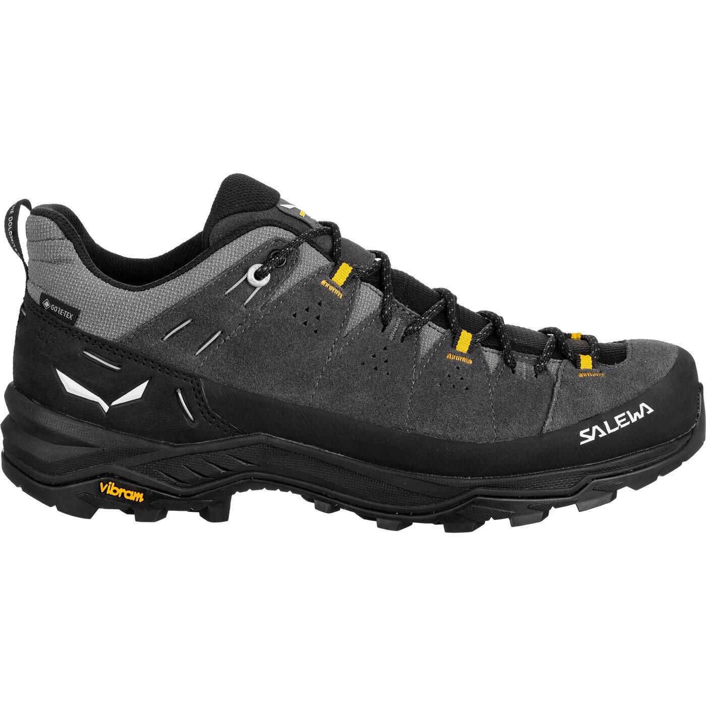 Buty trekkingowe męskie Salewa Alp Trainer 2 GTX 61400 r.44