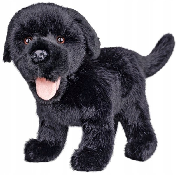 Maskotka Piesek Czarny Labrador Stojący Realistyczny - 23cm