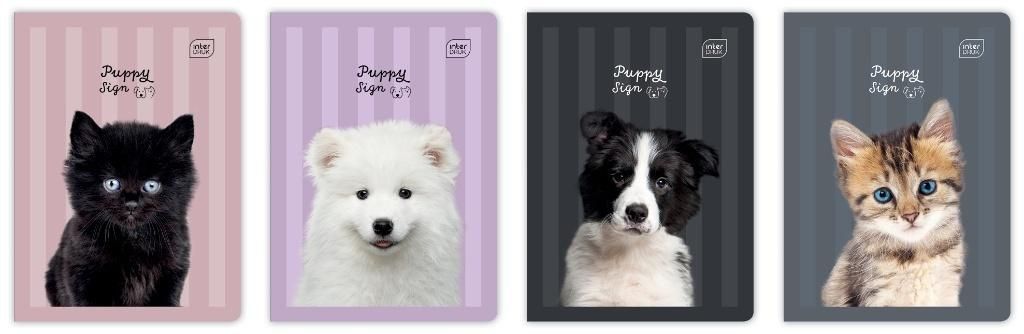 Interdruk Zeszyt A532k 3kol linia 70g Uv Puppy Sign (10szt)