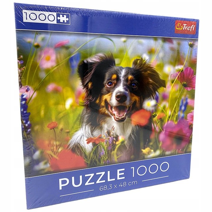 Puzzle Owczarek australijski 1000 elementów