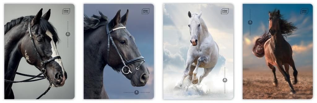 Interdruk Zeszyt A532k kratka M 70g Uv Wild Horses (10szt)