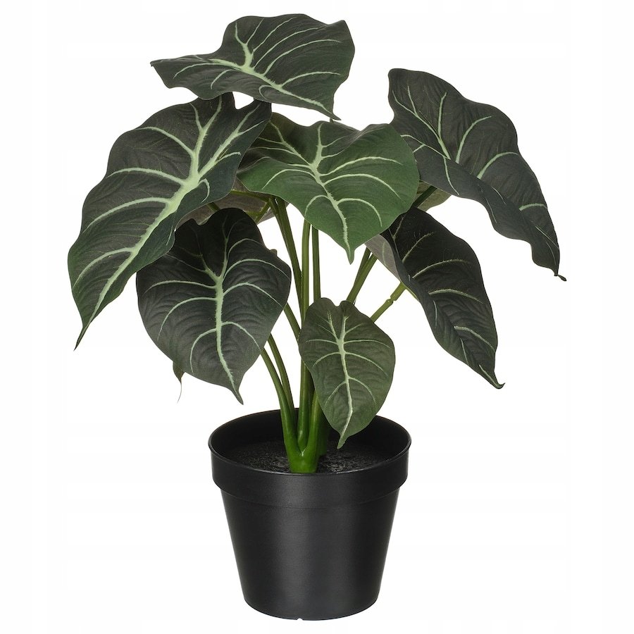 IKEA FEJKA Sztuczna roślina doniczkowa, alocasia 35 cm