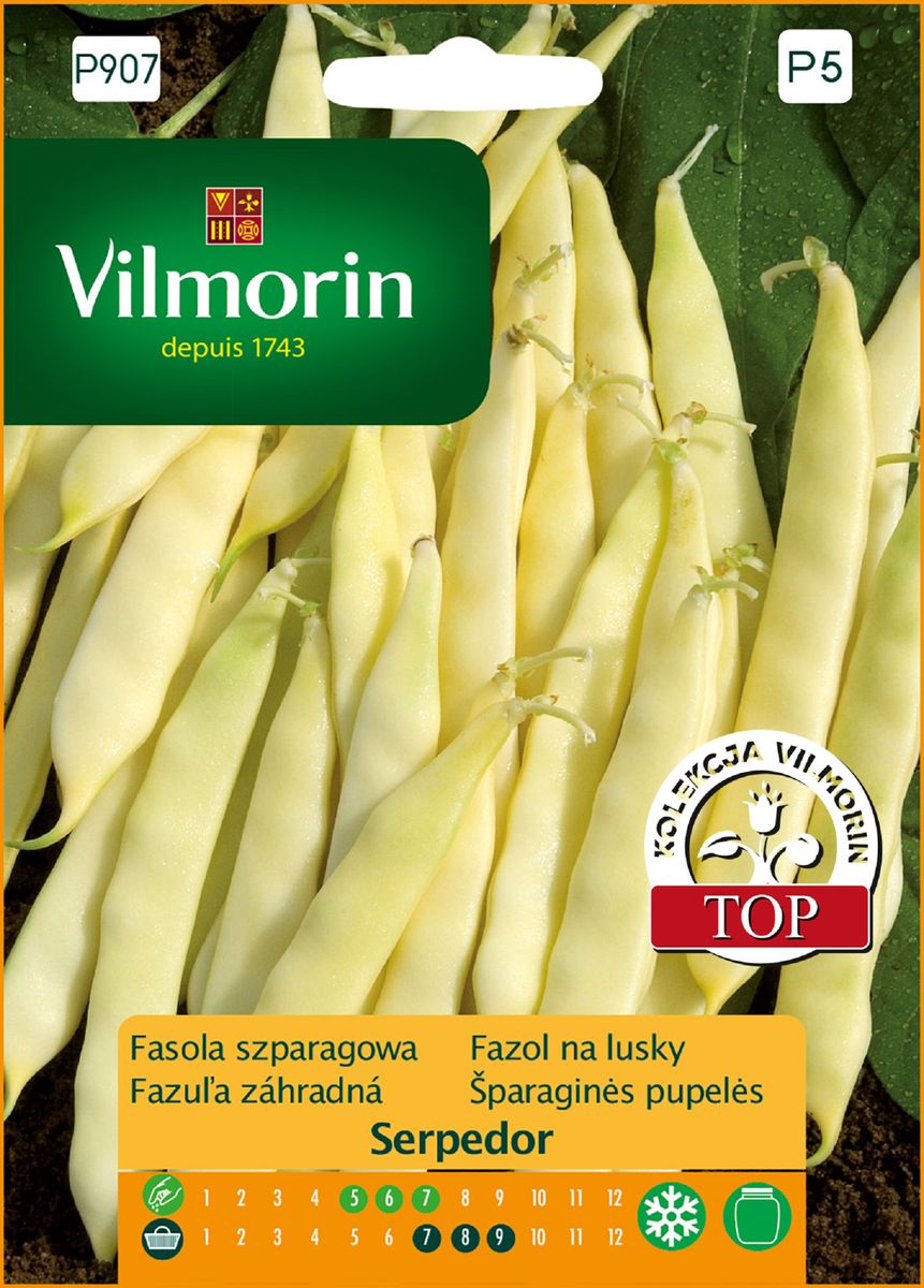 Fasola szparagowa karłowa Serpedor nasiona 30g Vilmorin