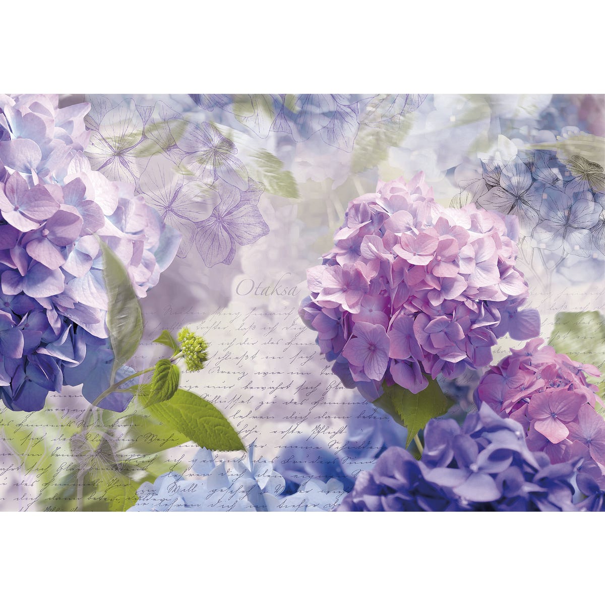 Fototapeta Otaksa 368 x 254 cm Komar