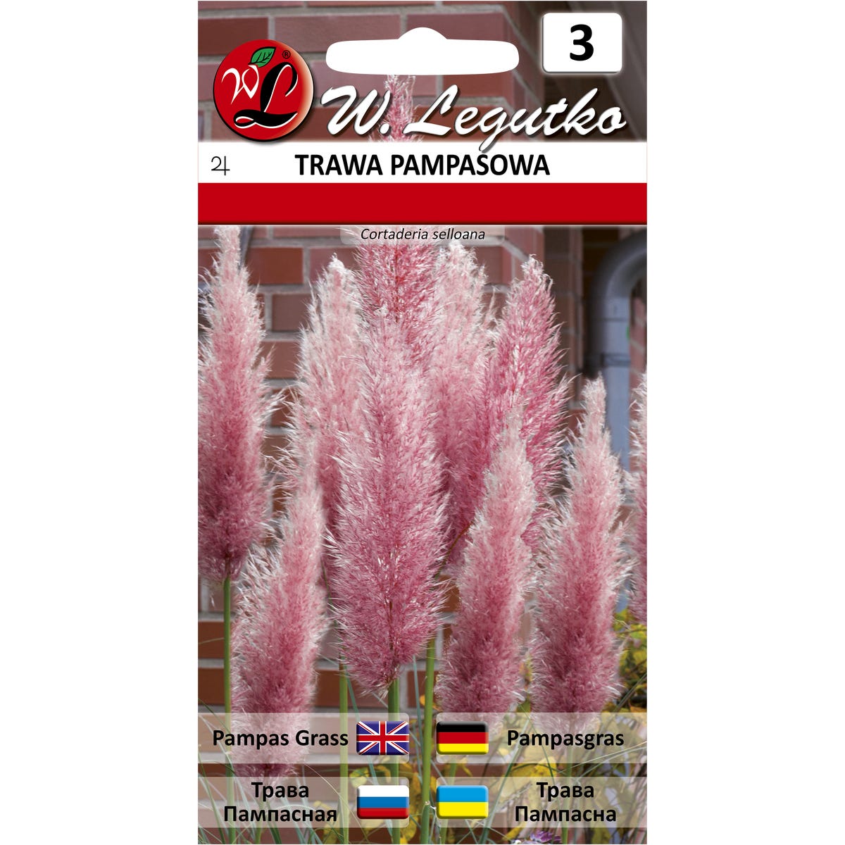 Trawa pampasowa różowa nasiona W. Legutko